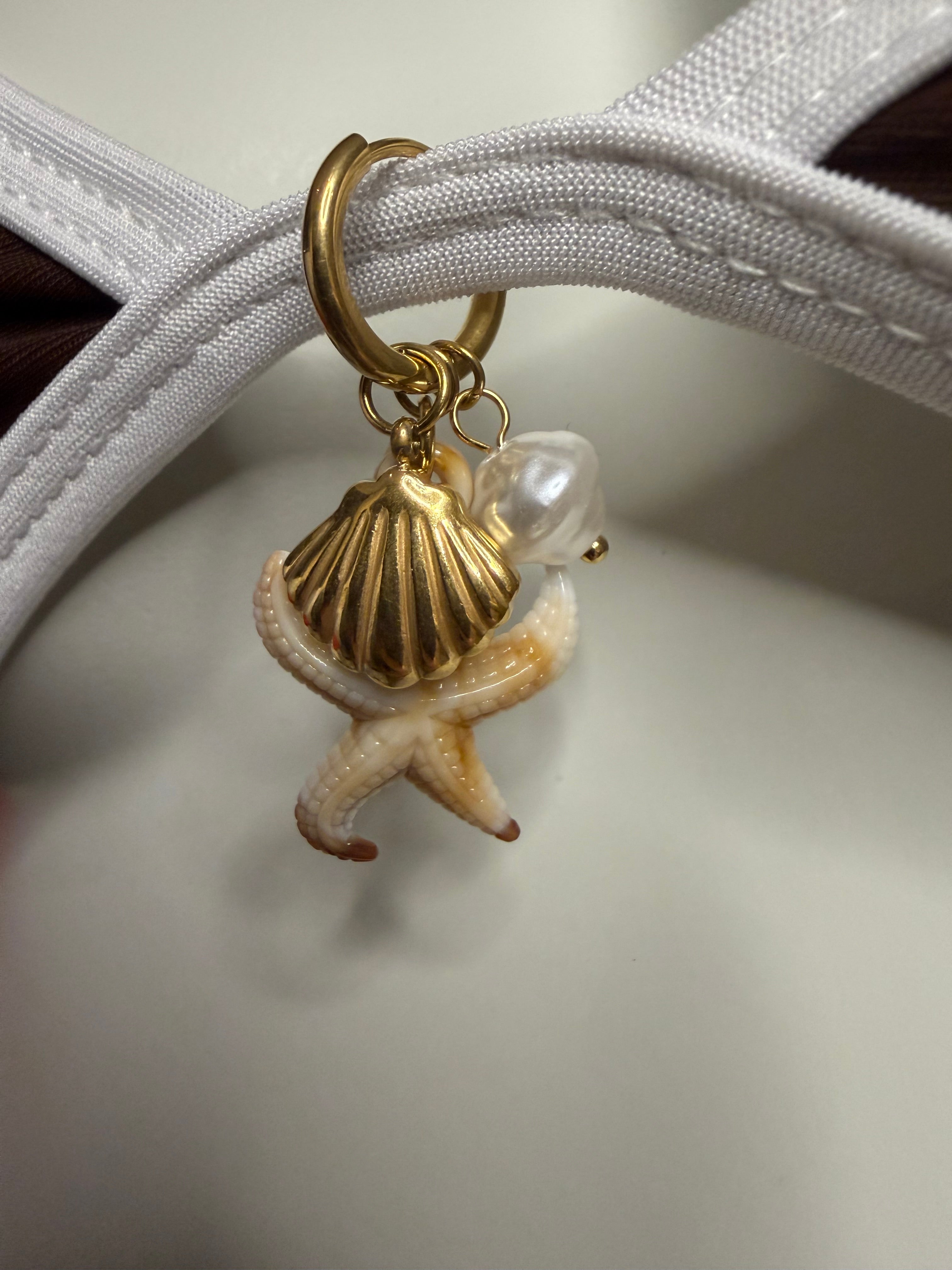 Étoile de mer
