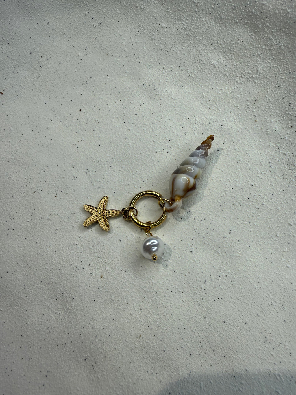 Coquillage
