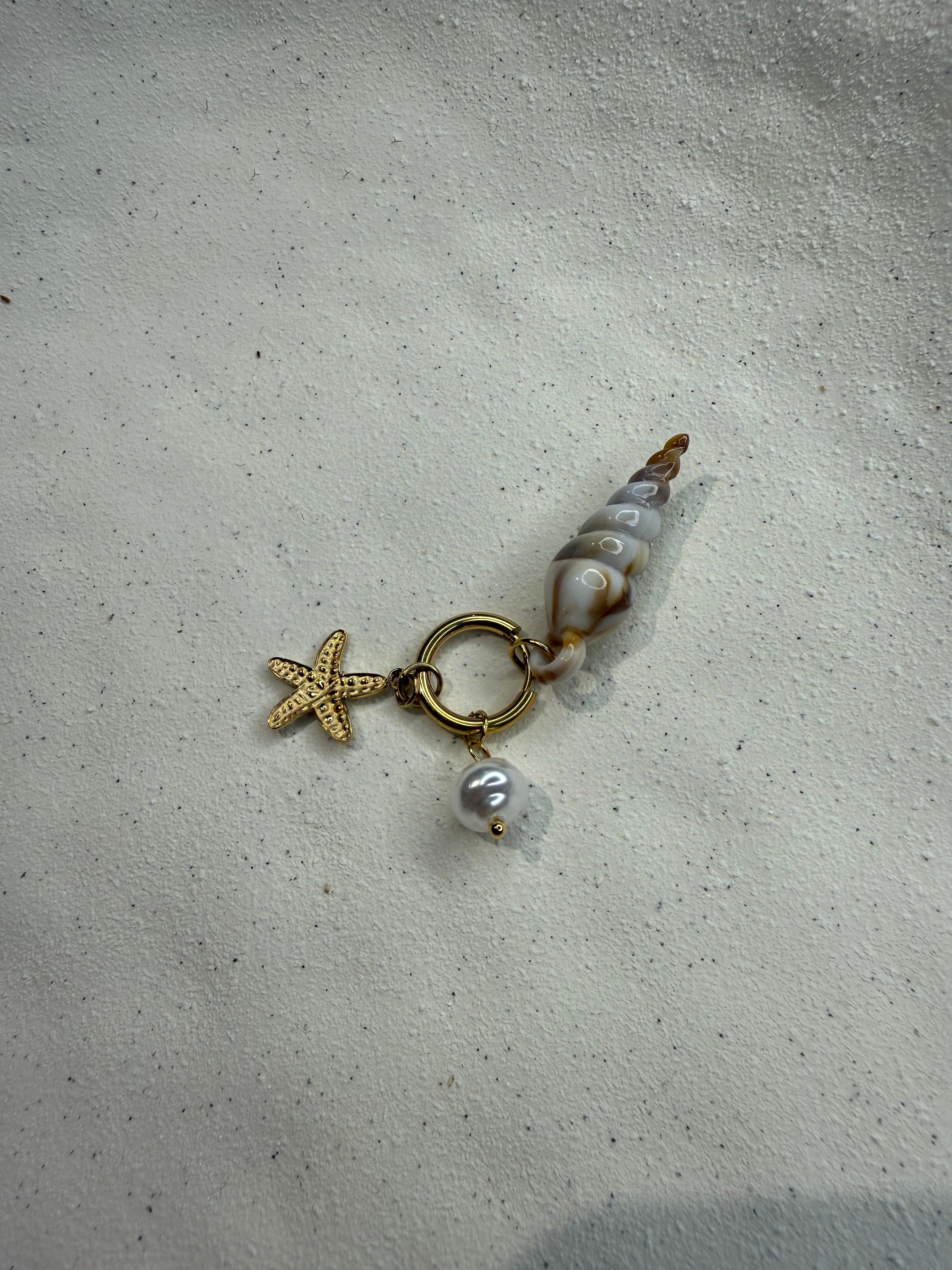 Coquillage