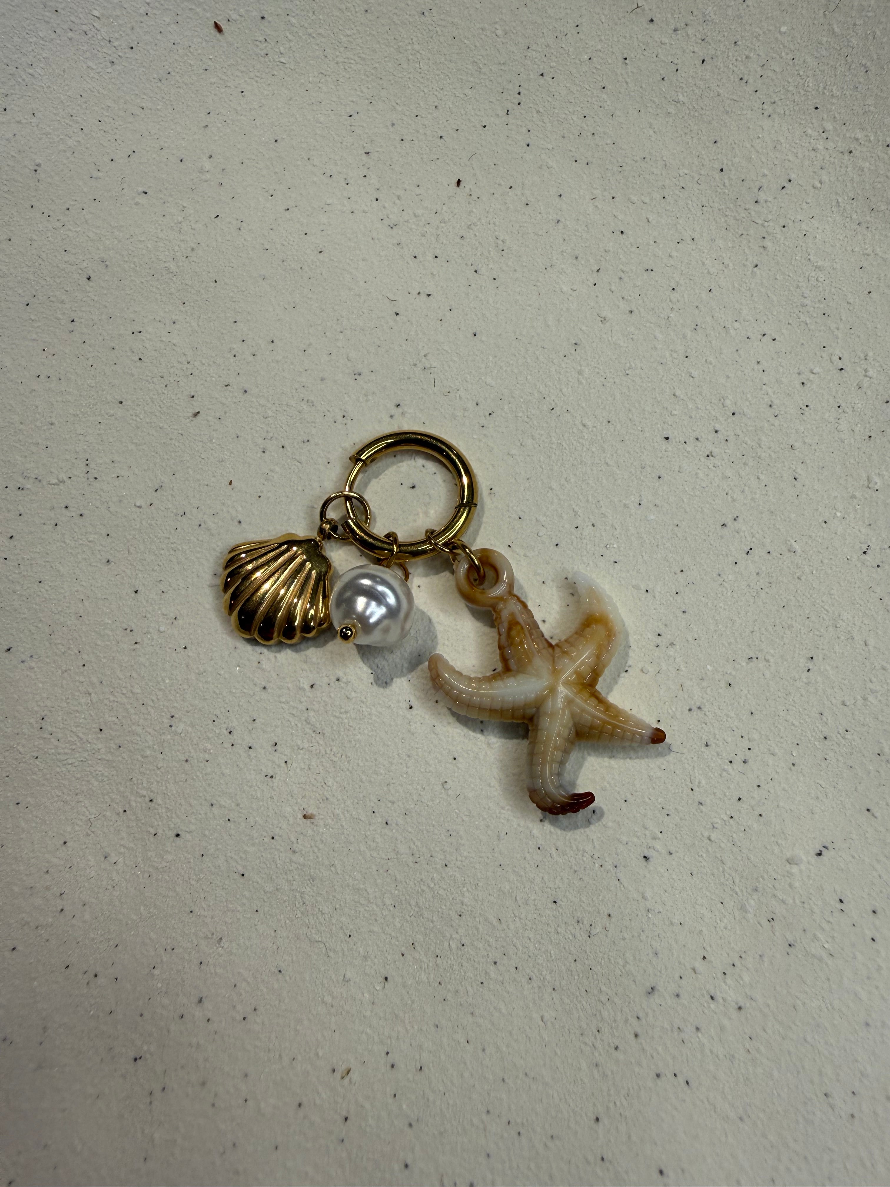 Étoile de mer